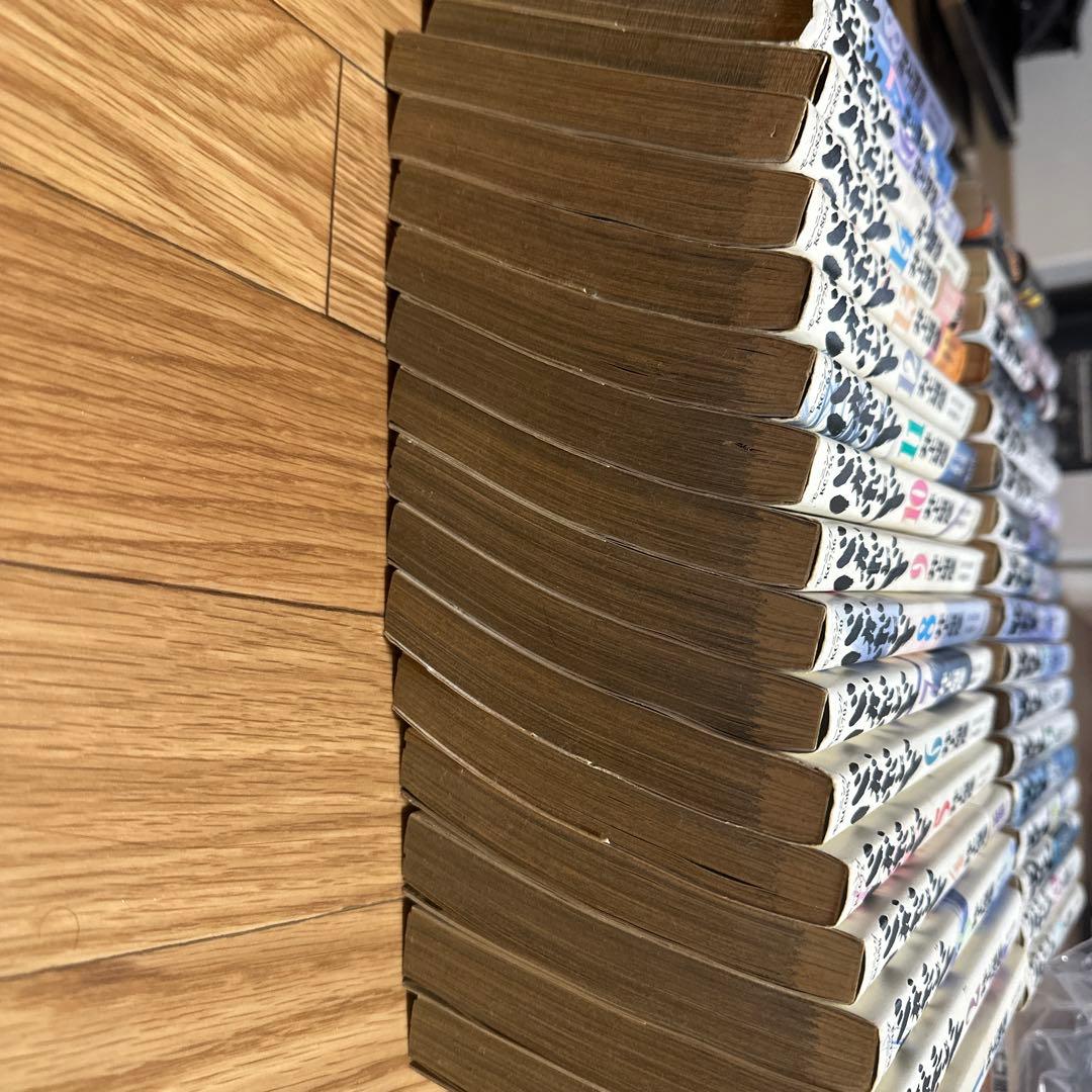 バカボンド全巻 サバイバル全巻➕another story 付き