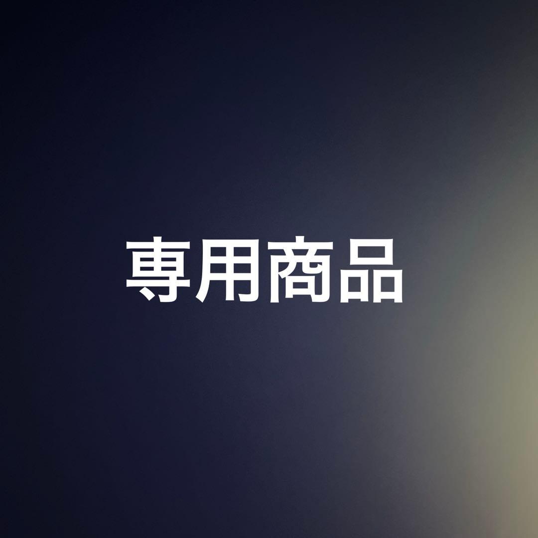 専用商品　1911