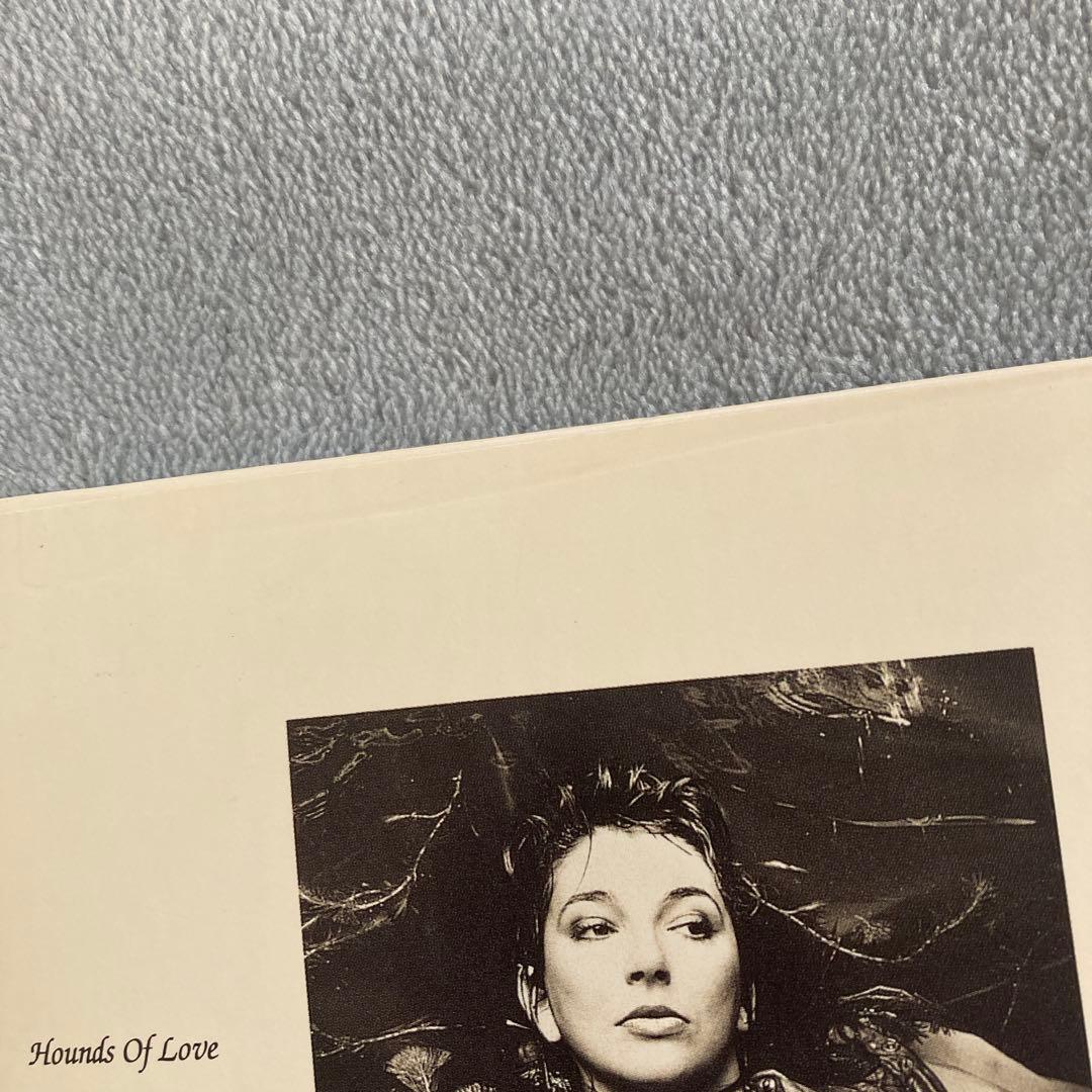 Hounds Of Love (Kate Bush / ケイト・ブッシュ)
