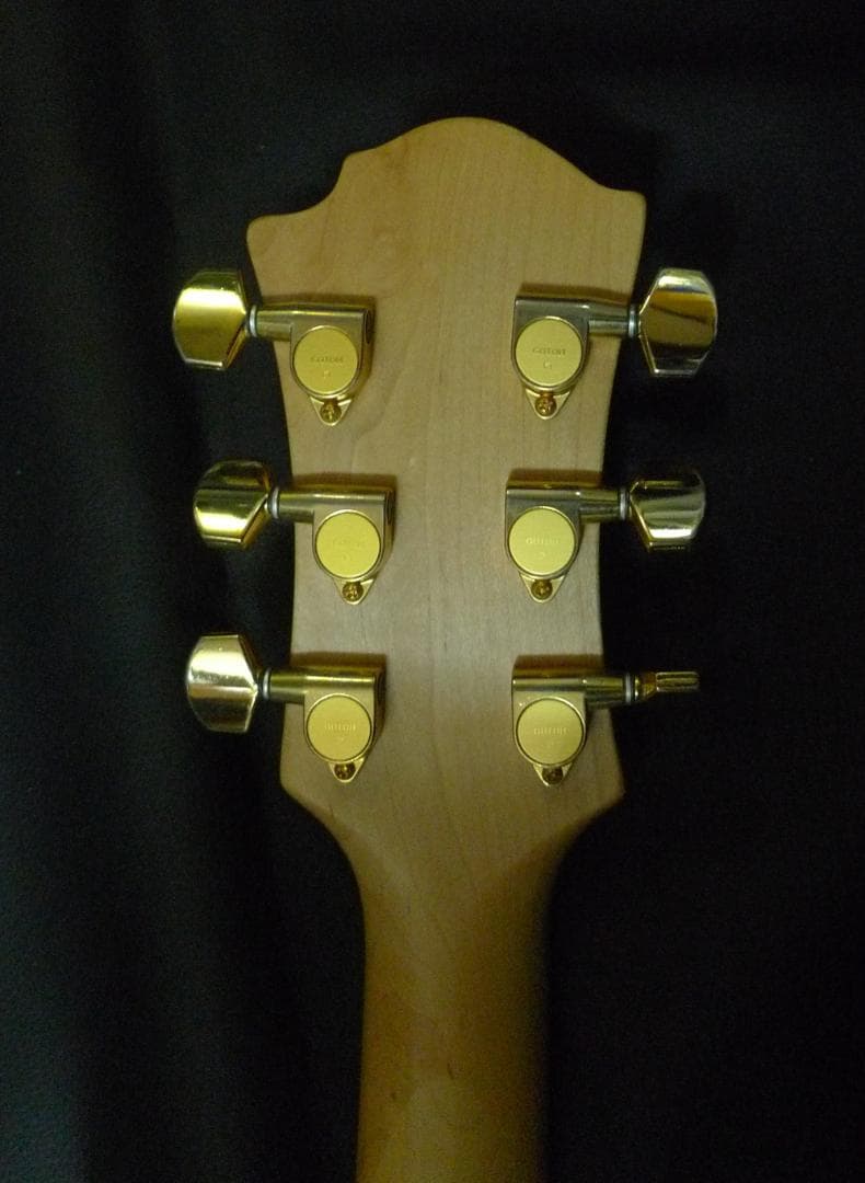 モッキンバードギター　TARGET by FERNANDES