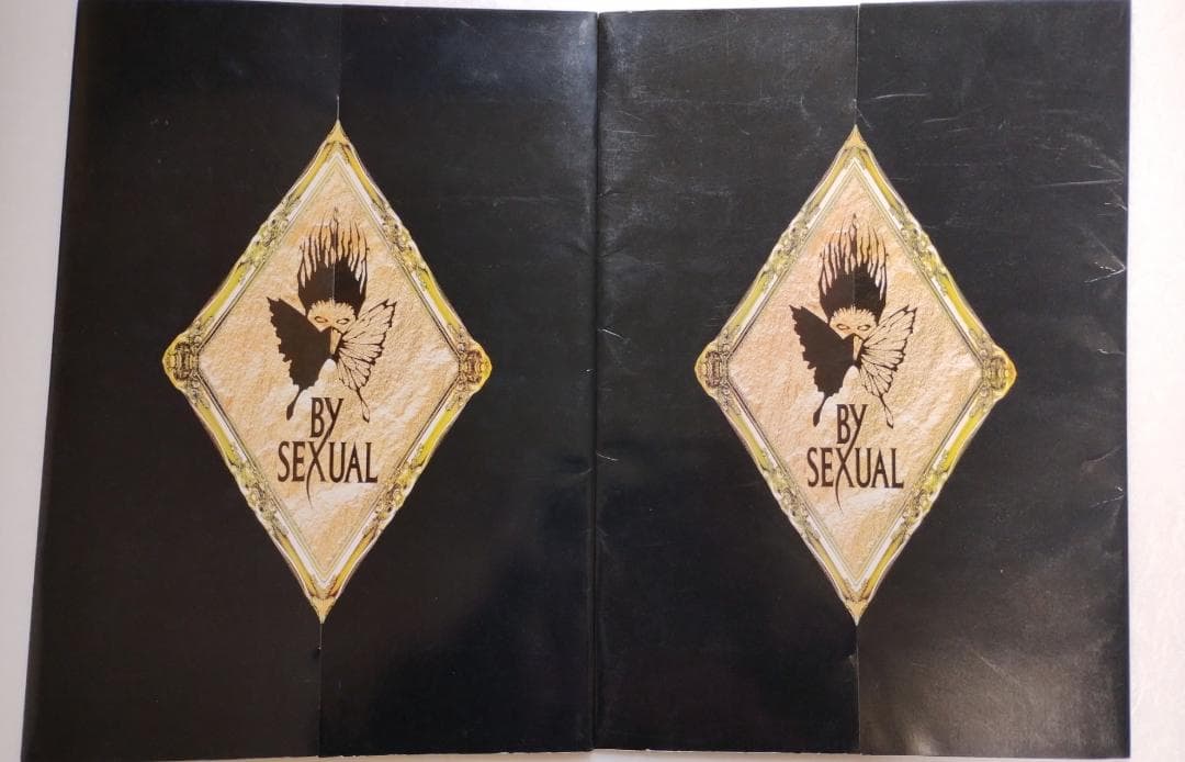 BY-SEXUAL カレンダー パンフレット セット バイセク