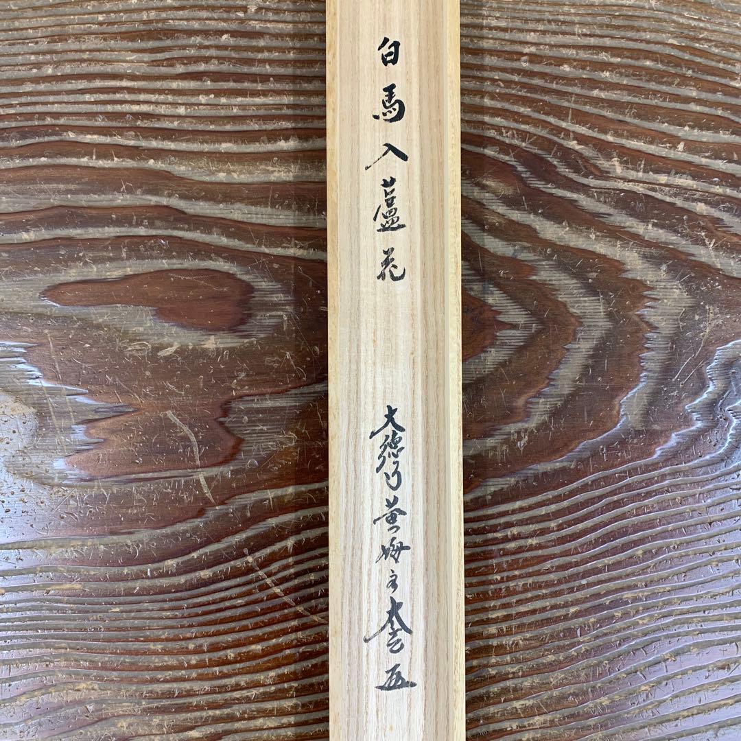 美品 掛け軸 黄梅院 小林太玄作「白馬入蘆花」共箱 縁起物 禅語