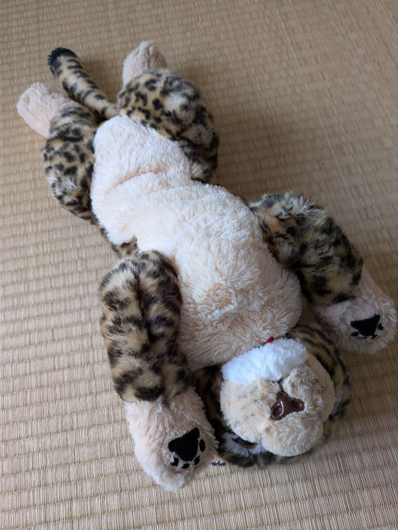 ひざひょう　ぬいぐるみ　M