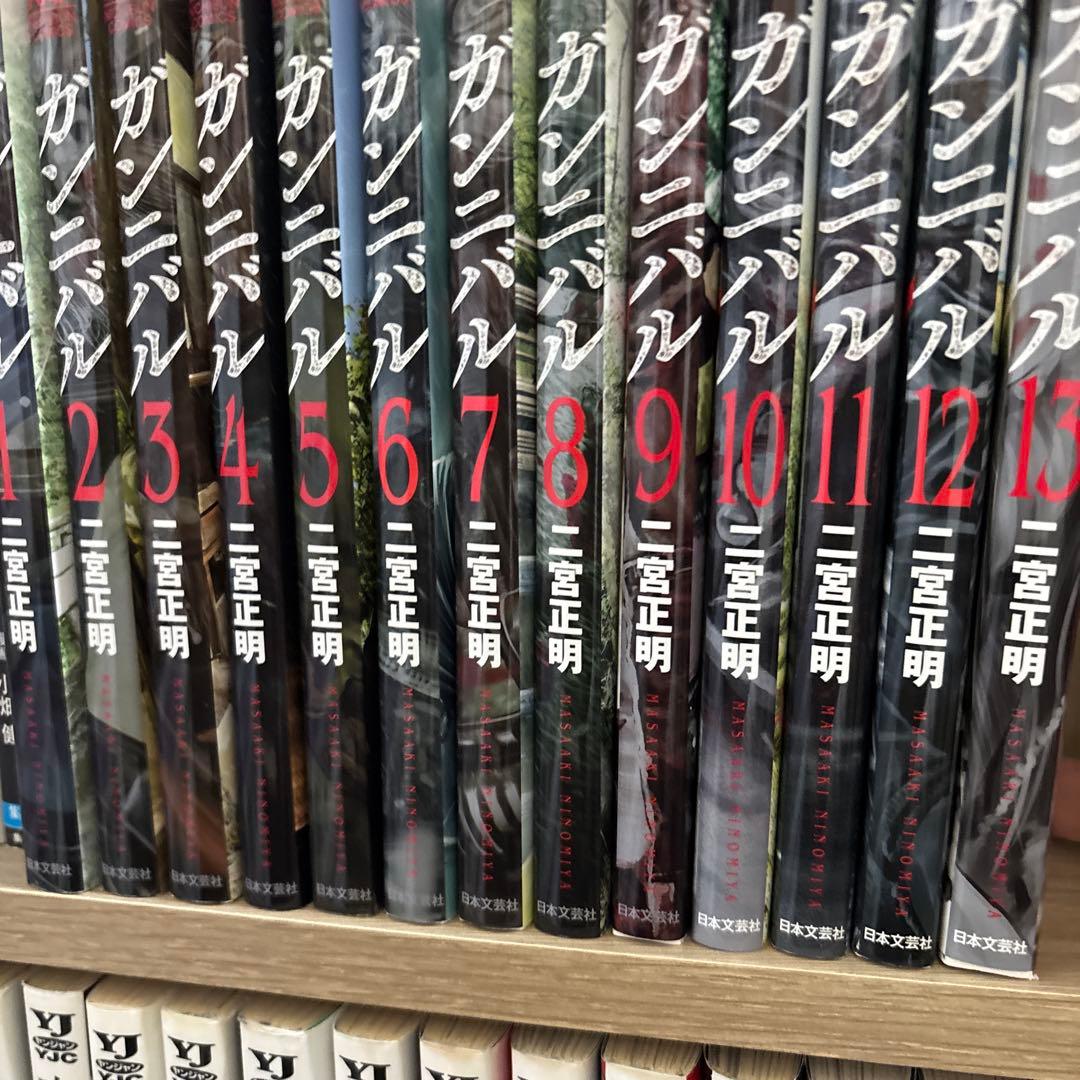 ガンニバル　全巻セット