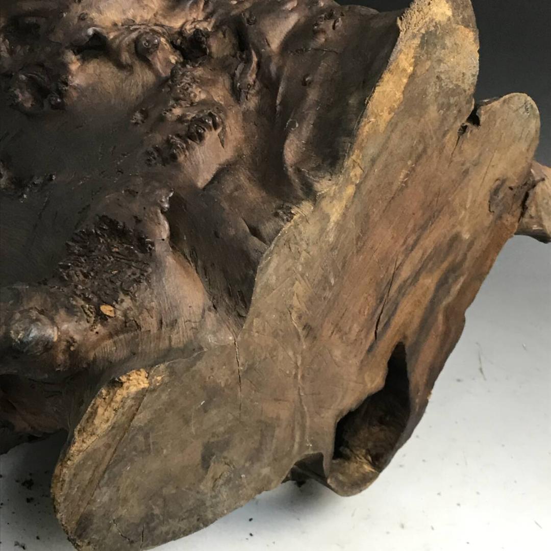 天然木 瘤 約11.7kg 自然木 瘤木 鑑賞木 オブジェ 花器 花瓶 花生